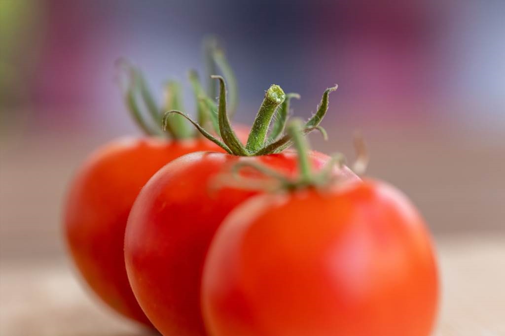 sznurek ogrodniczy do pomidorów