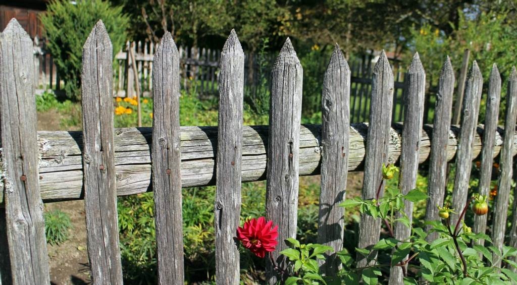 żerdzie drewniane na ogrodzenie